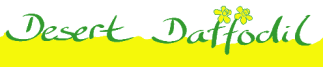 Logo - Desert Daffodil Ltd