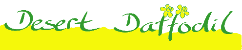 Logo - Desert Daffodil Ltd